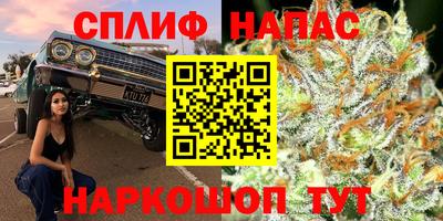 сатива Жуковский