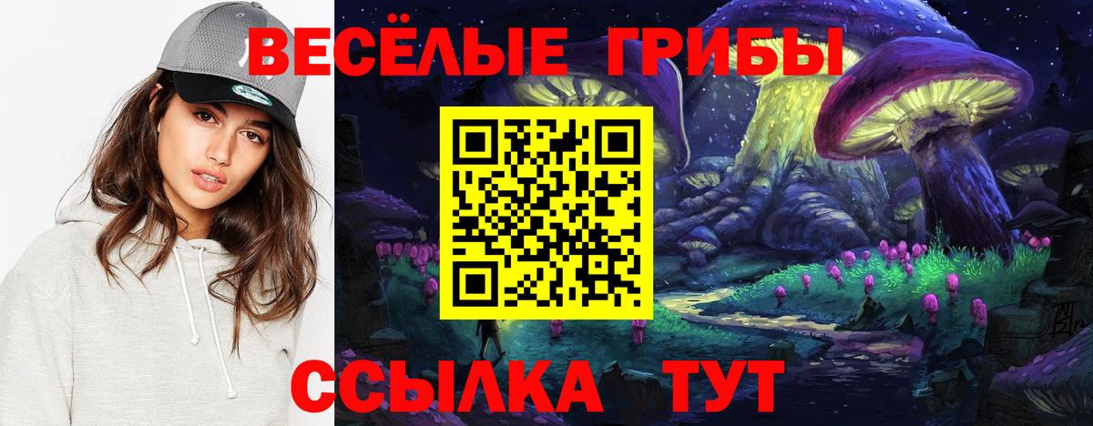 Псилоцибиновые грибы Psilocybine cubensis Магадан