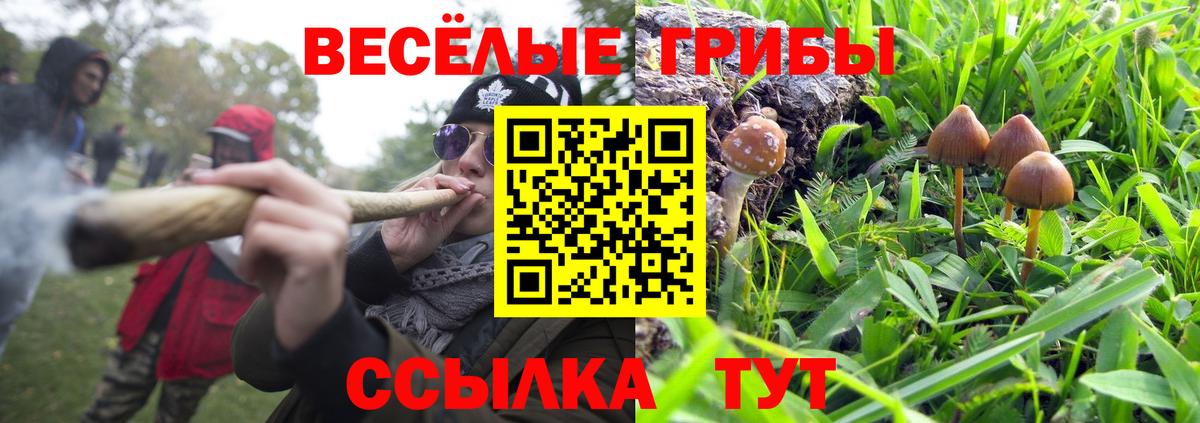 Магадан  Псилоцибиновые грибы Psilocybine cubensis  Псилоцибиновые грибы GOLDEN TEACHER  Вход с VPN 